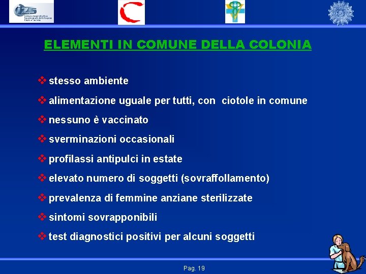 ELEMENTI IN COMUNE DELLA COLONIA v stesso ambiente v alimentazione uguale per tutti, con