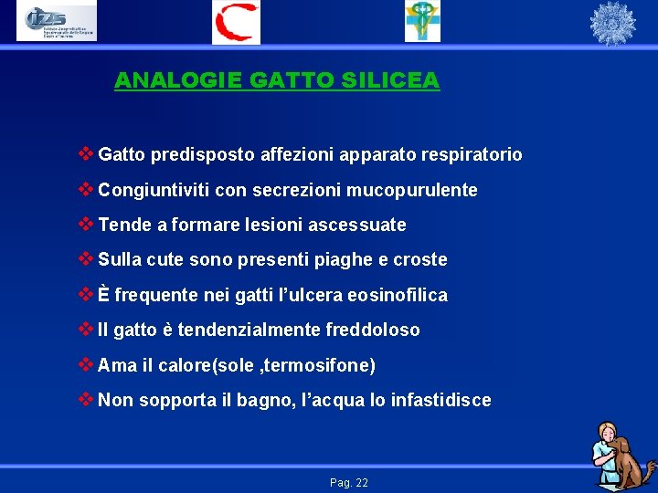 ANALOGIE GATTO SILICEA v Gatto predisposto affezioni apparato respiratorio v Congiuntiviti con secrezioni mucopurulente
