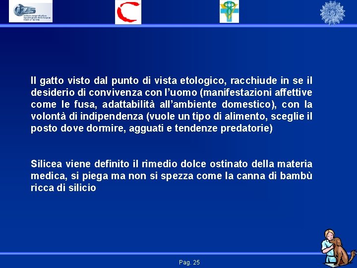 Il gatto visto dal punto di vista etologico, racchiude in se il desiderio di