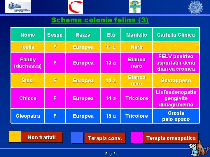 Schema colonia felina (3) Nome Sesso Razza Età Mantello Cartella Clinica Iccila F Europea