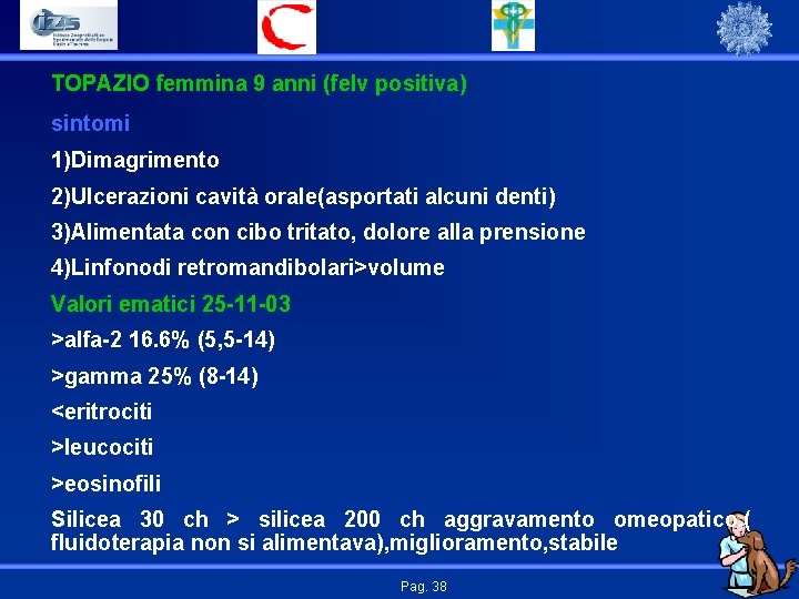 TOPAZIO femmina 9 anni (felv positiva) sintomi 1)Dimagrimento 2)Ulcerazioni cavità orale(asportati alcuni denti) 3)Alimentata