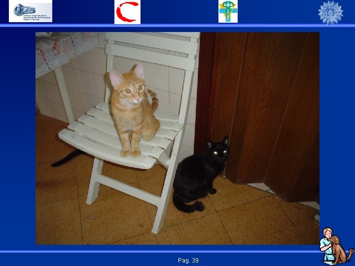 Pag. 39 
