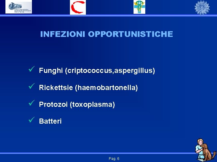 INFEZIONI OPPORTUNISTICHE ü Funghi (criptococcus, aspergillus) ü Rickettsie (haemobartonella) ü Protozoi (toxoplasma) ü Batteri