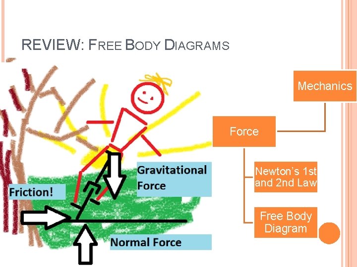 REVIEW: FREE BODY DIAGRAMS Mechanics Force Newton’s 1 st and 2 nd Law Free