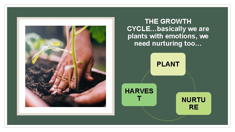 THE GROWTH CYCLE…basically we are plants with emotions, we need nurturing too… PLANT HARVES THE GROWTH CYCLE…basically we are plants with emotions, we need nurturing too… PLANT HARVES