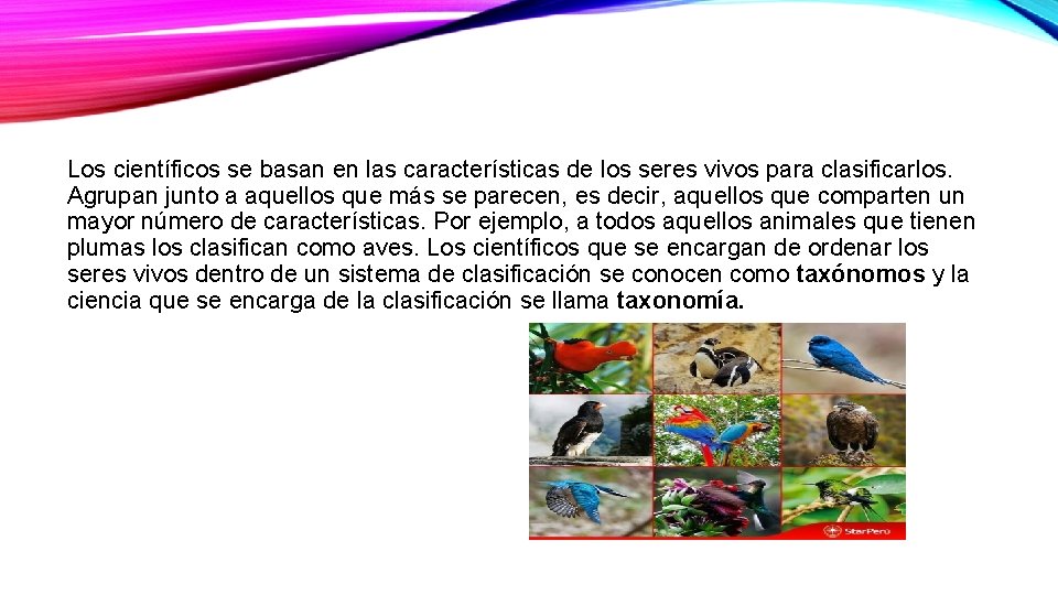 Los científicos se basan en las características de los seres vivos para clasificarlos. Agrupan