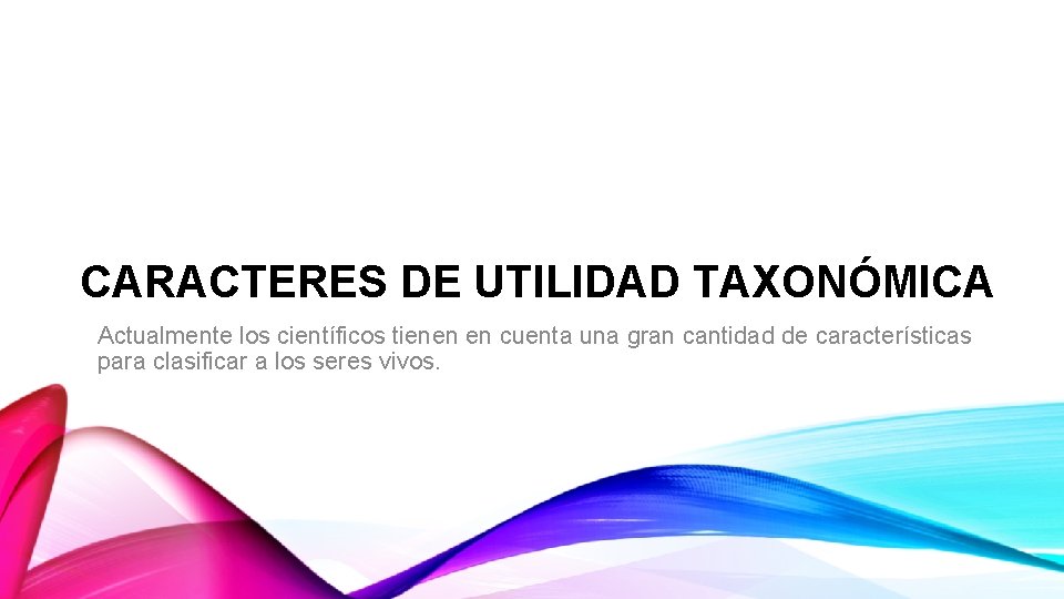 CARACTERES DE UTILIDAD TAXONÓMICA Actualmente los científicos tienen en cuenta una gran cantidad de