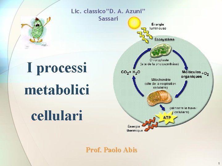 Lic. classico”D. A. Azuni” Sassari I processi metabolici cellulari Prof. Paolo Abis 1 