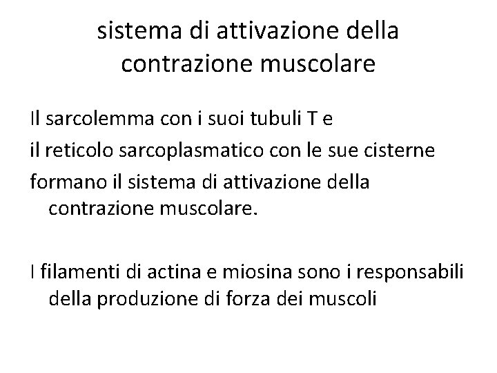 sistema di attivazione della contrazione muscolare Il sarcolemma con i suoi tubuli T e