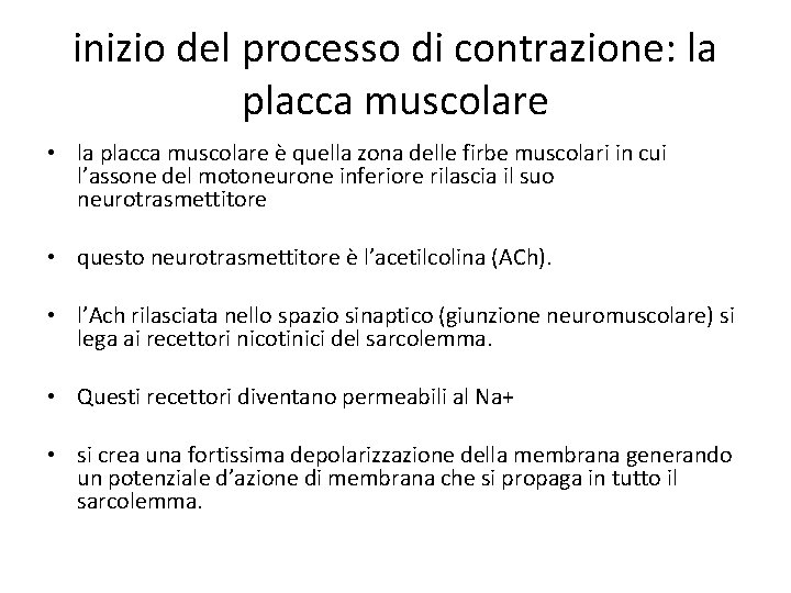 inizio del processo di contrazione: la placca muscolare • la placca muscolare è quella