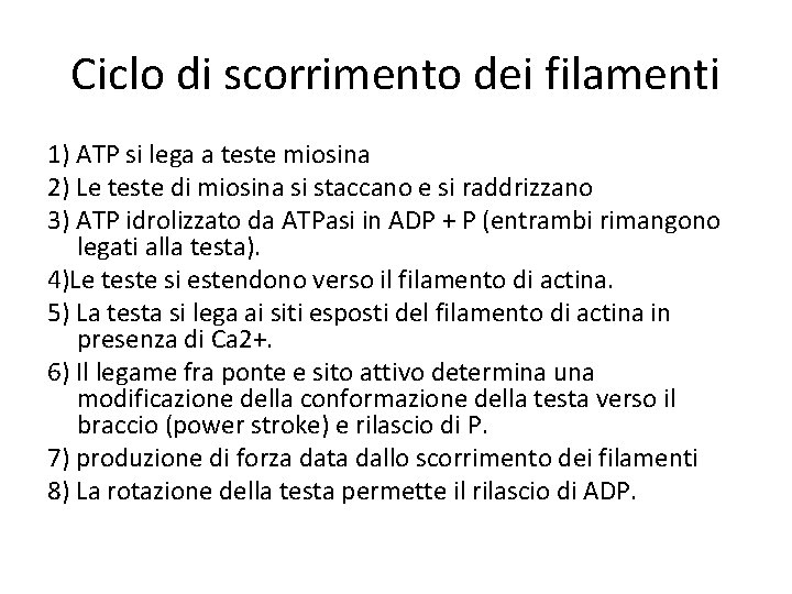 Ciclo di scorrimento dei filamenti 1) ATP si lega a teste miosina 2) Le