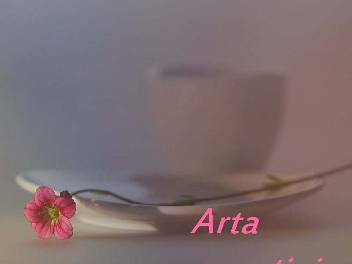 Arta 