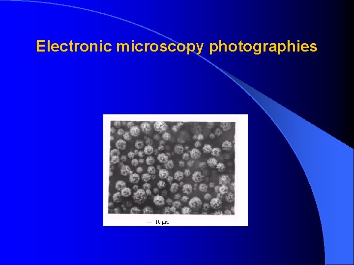 Electronic microscopy photographies 