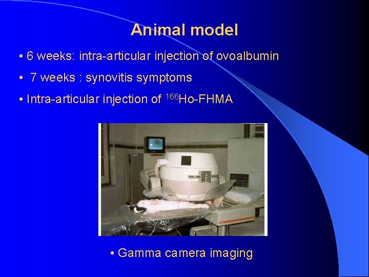 Animal model • 6 weeks: intra-articular injection of ovoalbumin • 7 weeks : synovitis