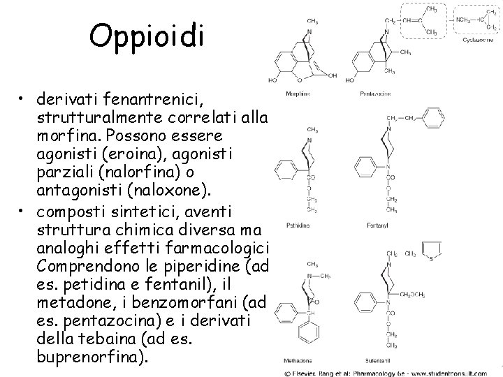 Oppioidi • derivati fenantrenici, strutturalmente correlati alla morfina. Possono essere agonisti (eroina), agonisti parziali