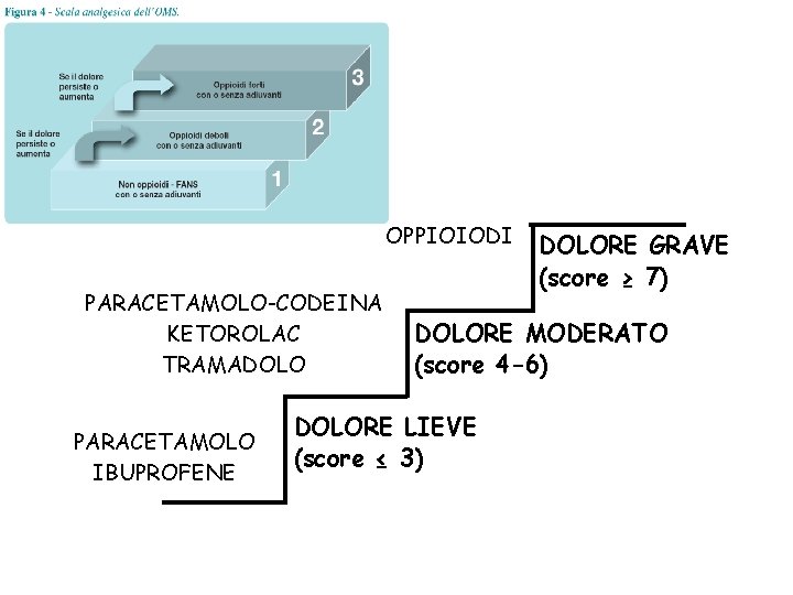 OPPIOIODI PARACETAMOLO-CODEINA KETOROLAC TRAMADOLO PARACETAMOLO IBUPROFENE DOLORE GRAVE (score ≥ 7) DOLORE MODERATO (score