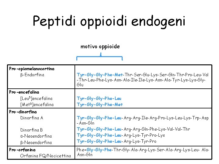 Peptidi oppioidi endogeni motivo oppioide Pro-opiomelanocortina β-Endorfina Pro-encefalina [Leu 5]encefalina [Met 5]encefalina Pro-dinorfina Dinorfina