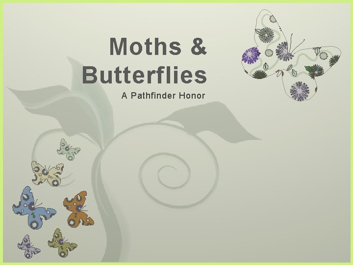 Moths & Butterflies A Pathfinder Honor 7 