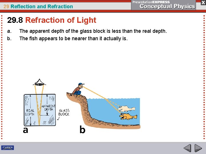 29 Reflection and Refraction 29. 8 Refraction of Light a. b. The apparent depth