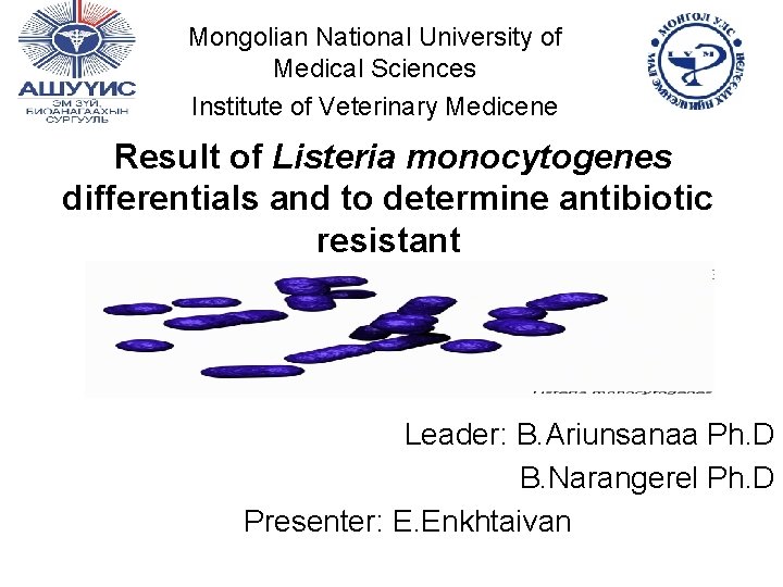 Mongolian National University of Medical Sciences Institute of Veterinary Medicene Result of Listeria monocytogenes