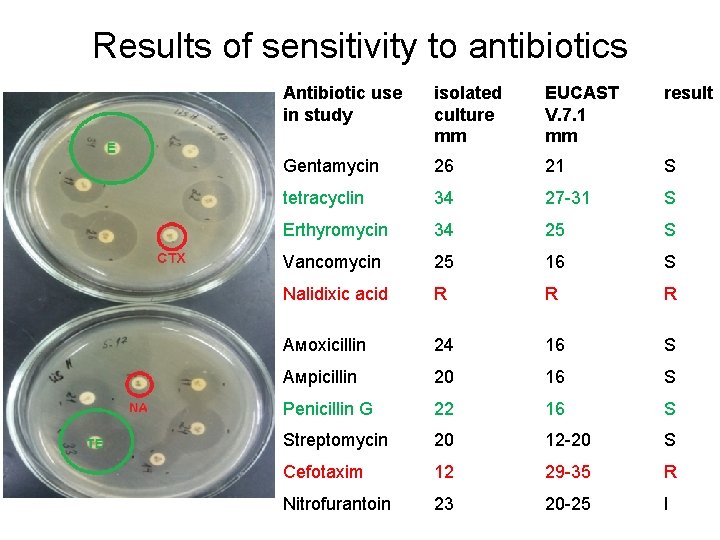 Results of sensitivity to antibiotics Antibiotic use in study isolated culture mm EUCAST V.