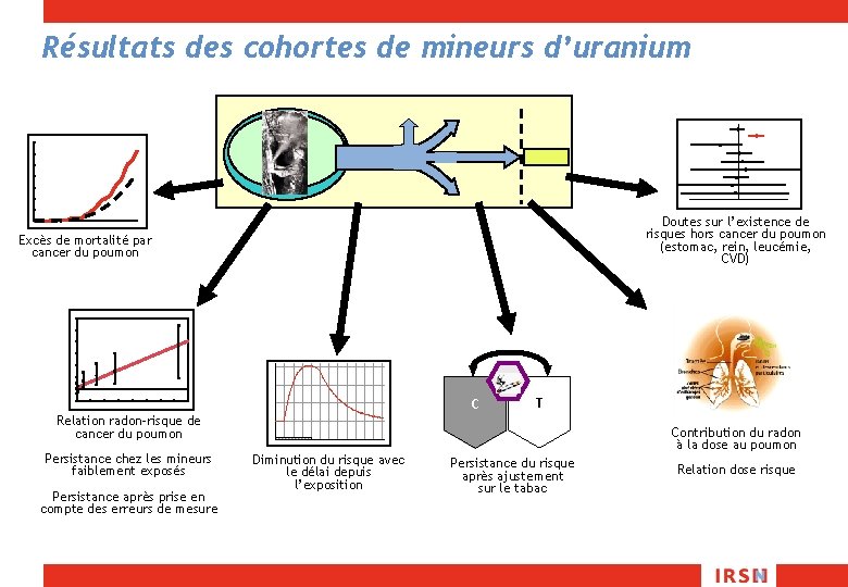 Résultats des cohortes de mineurs d’uranium Doutes sur l’existence de risques hors cancer du