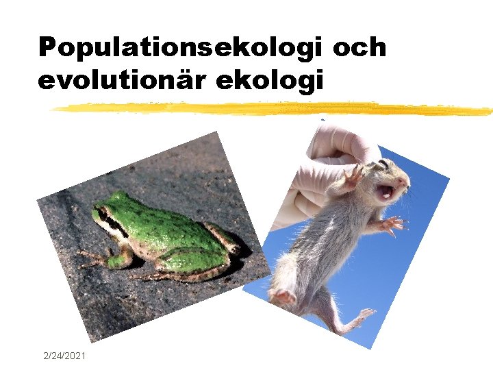 Populationsekologi och evolutionär ekologi 2/24/2021 