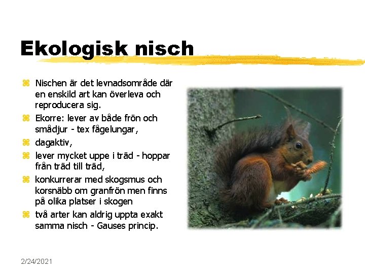 Ekologisk nisch z Nischen är det levnadsområde där en enskild art kan överleva och