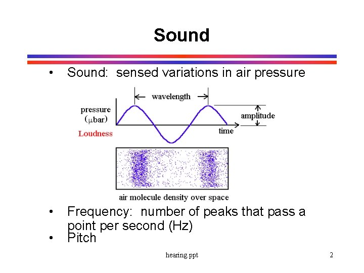 Sound • Sound: sensed variations in air pressure • Frequency: number of peaks that