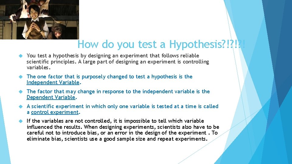 How do you test a Hypothesis? !? !? ! You test a hypothesis by