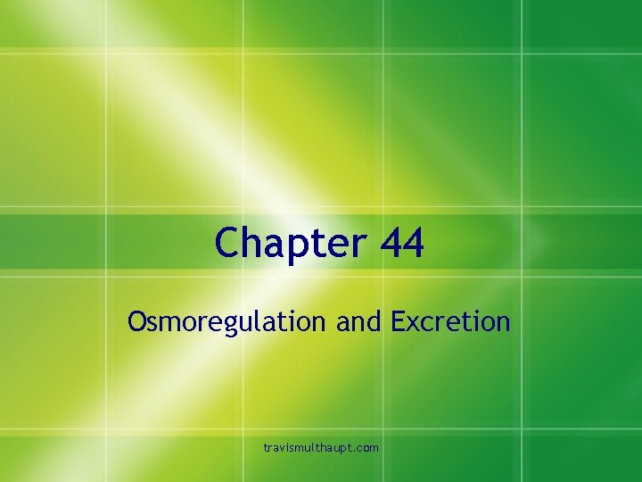 Chapter 44 Osmoregulation and Excretion travismulthaupt. com 