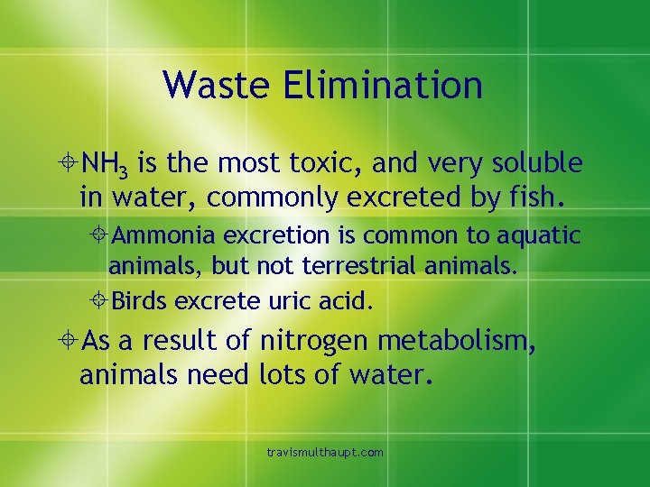 Waste Elimination ±NH 3 is the most toxic, and very soluble in water, commonly