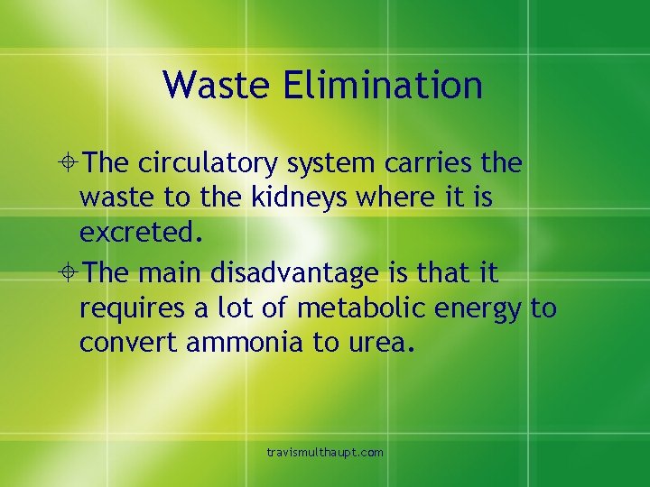 Waste Elimination ±The circulatory system carries the waste to the kidneys where it is