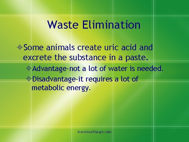 Waste Elimination ±Some animals create uric acid and excrete the substance in a paste.