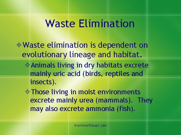 Waste Elimination ±Waste elimination is dependent on evolutionary lineage and habitat. ±Animals living in