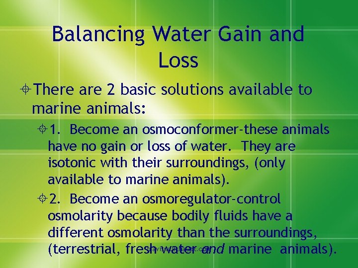 Balancing Water Gain and Loss ±There are 2 basic solutions available to marine animals: