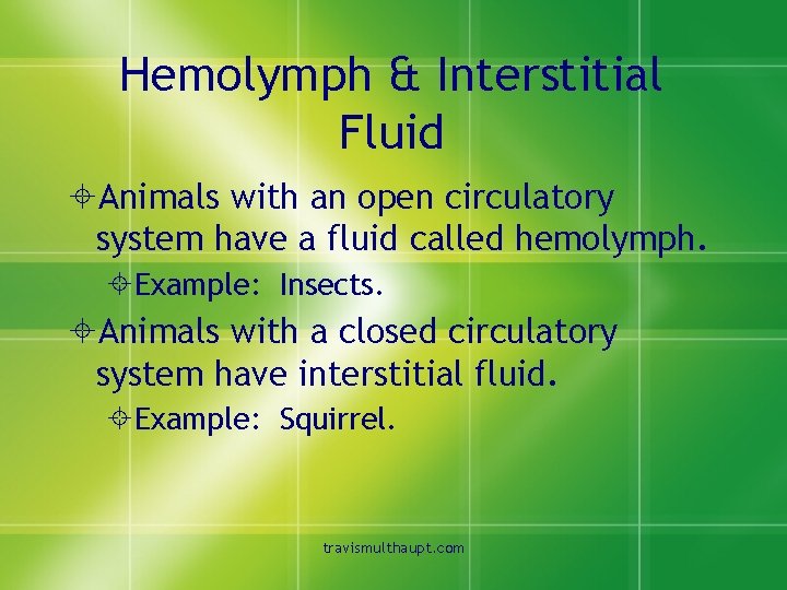 Hemolymph & Interstitial Fluid ±Animals with an open circulatory system have a fluid called