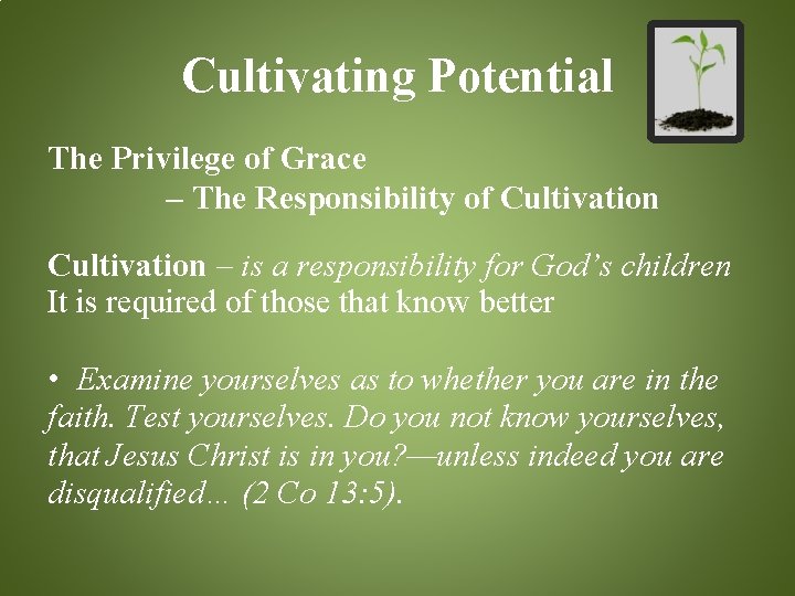 Cultivating Potential The Privilege of Grace – The Responsibility of Cultivation – is a