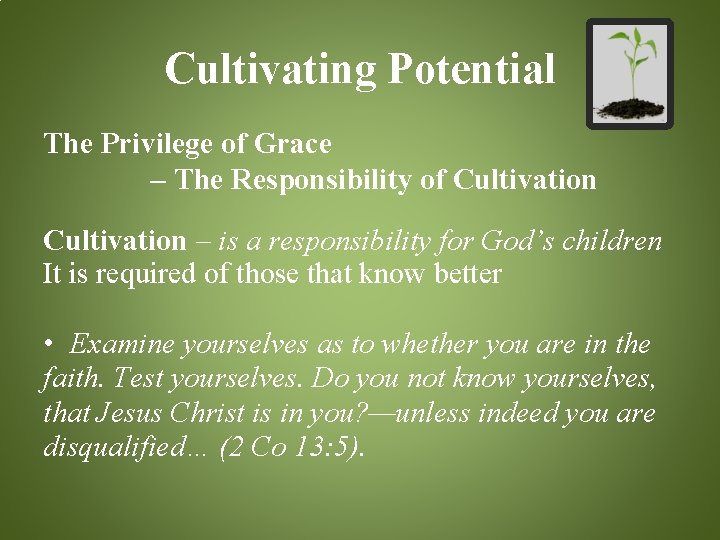 Cultivating Potential The Privilege of Grace – The Responsibility of Cultivation – is a