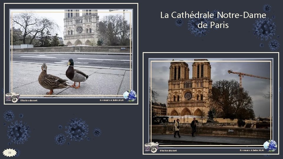 La Cathédrale Notre-Dame de Paris 33 