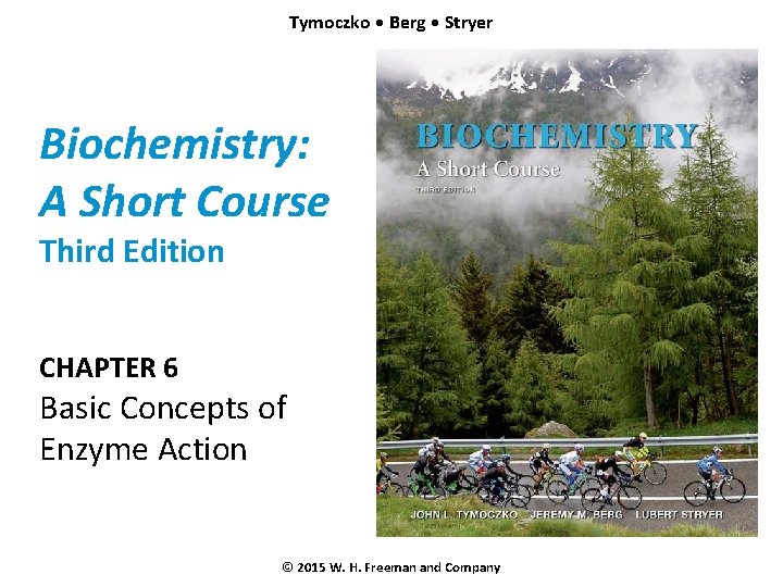 Tymoczko • Berg • Stryer Biochemistry: A Short Course Third Edition CHAPTER 6 Basic