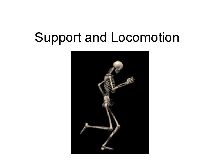 Support and Locomotion 