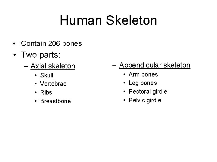 Human Skeleton • Contain 206 bones • Two parts: – Axial skeleton • •