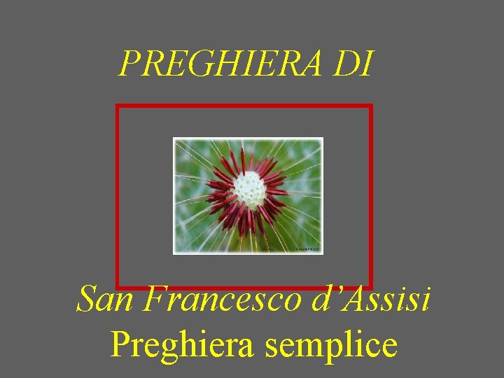 PREGHIERA DI San Francesco d’Assisi Preghiera semplice 