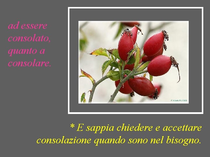 ad essere consolato, quanto a consolare. * E sappia chiedere e accettare consolazione quando