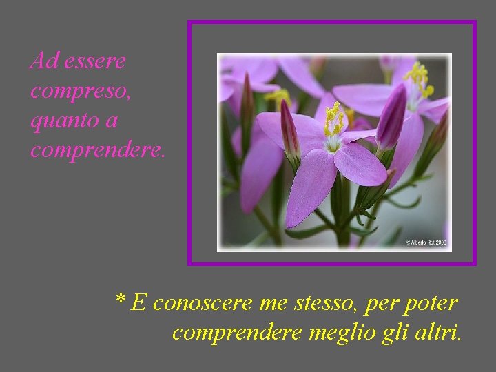 Ad essere compreso, quanto a comprendere. * E conoscere me stesso, per poter comprendere