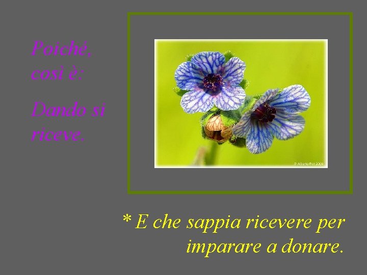 Poiché, così è: Dando si riceve. * E che sappia ricevere per imparare a