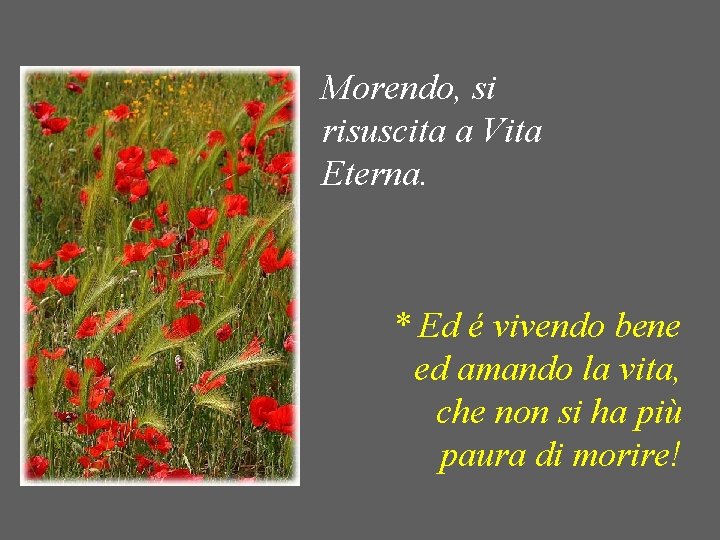 Morendo, si risuscita a Vita Eterna. * Ed é vivendo bene ed amando la