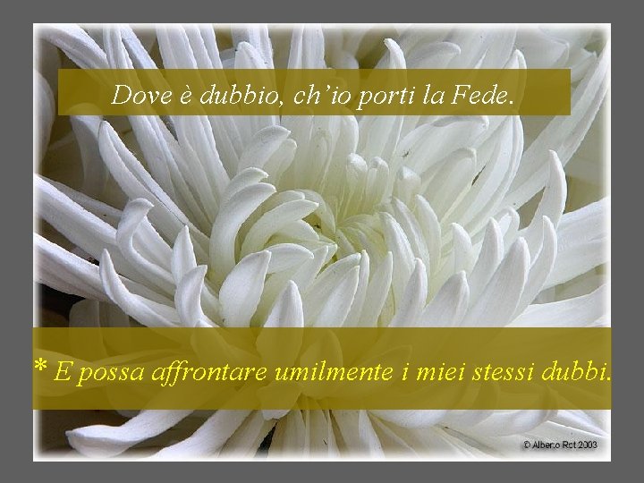 Dove è dubbio, ch’io porti la Fede. * E possa affrontare umilmente i miei