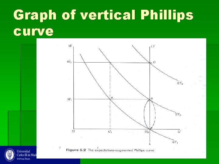 Graph of vertical Phillips curve 